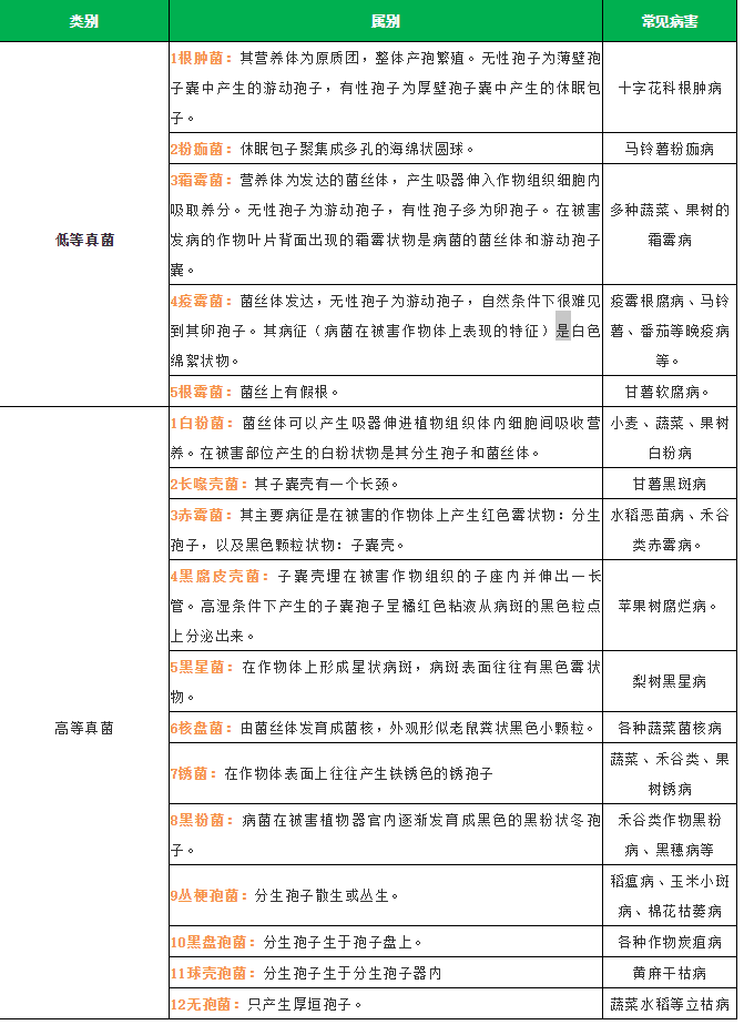卡希诺为你送上作物常见的真菌性病害图谱