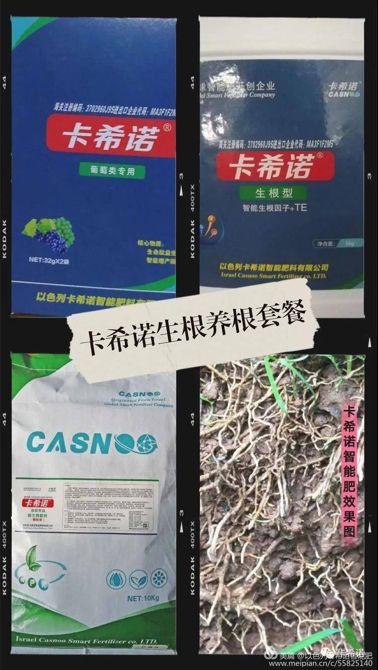 葡萄怎样有效施肥？(卡希诺智能肥)
