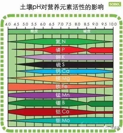 土壤出现问题该如何解决，你认识到这几个问题了吗（卡希诺智能肥）