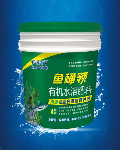 鱼桶领
