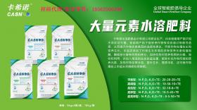 辽宁有机水溶肥料代理，为农户提供科学合理优化成本的肥料方案！ 