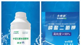 钙肥可以和磷酸二氢钾一起喷施吗
