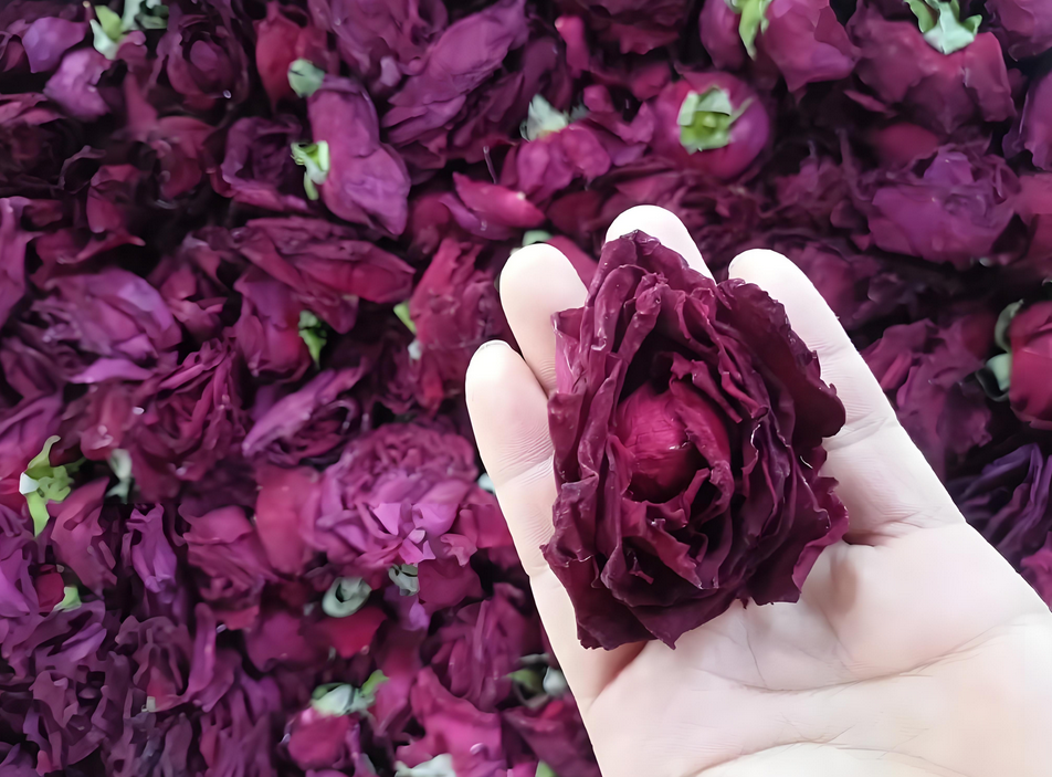 食用玫瑰发芽期肥料有哪些