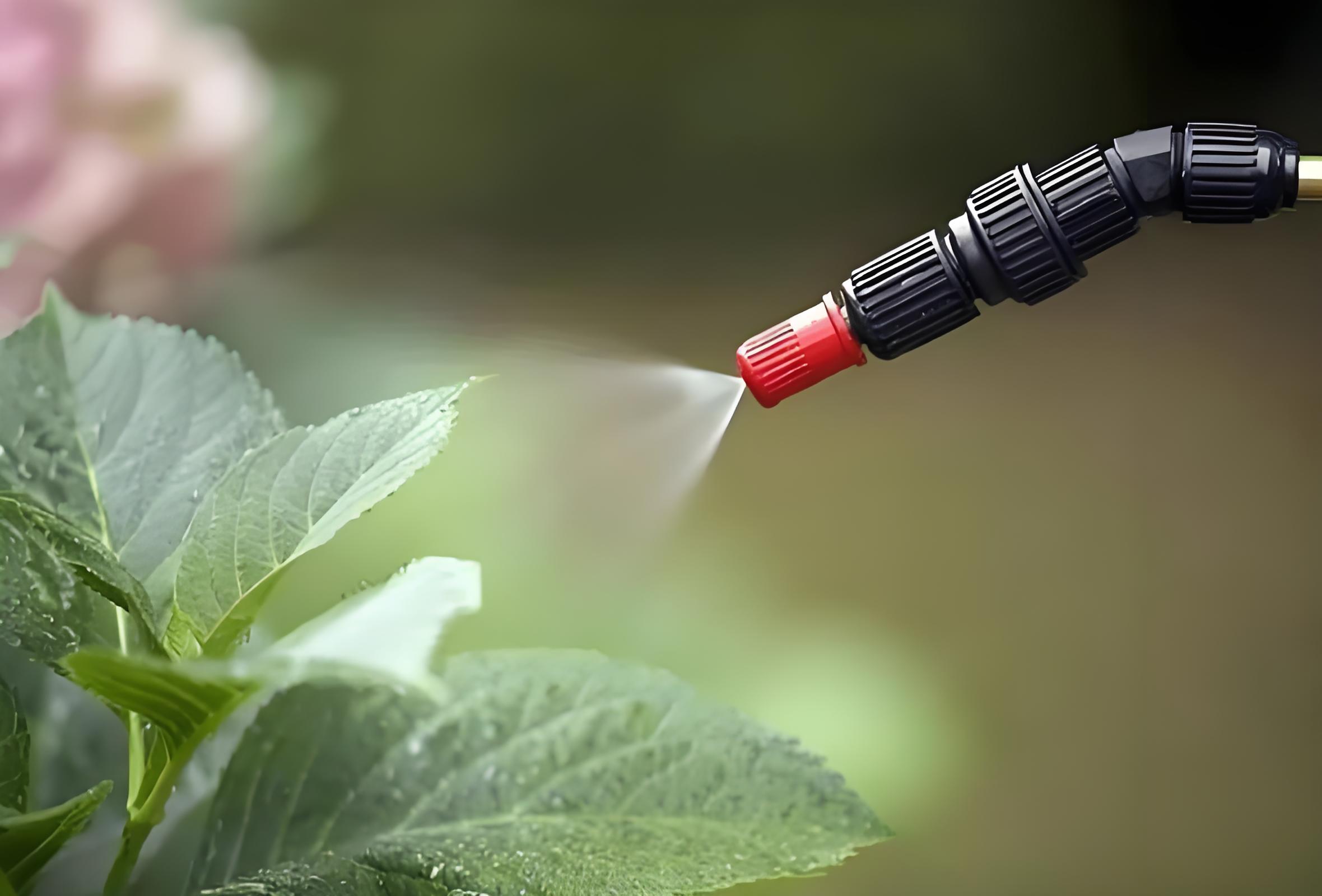 叶面肥打一次管多久