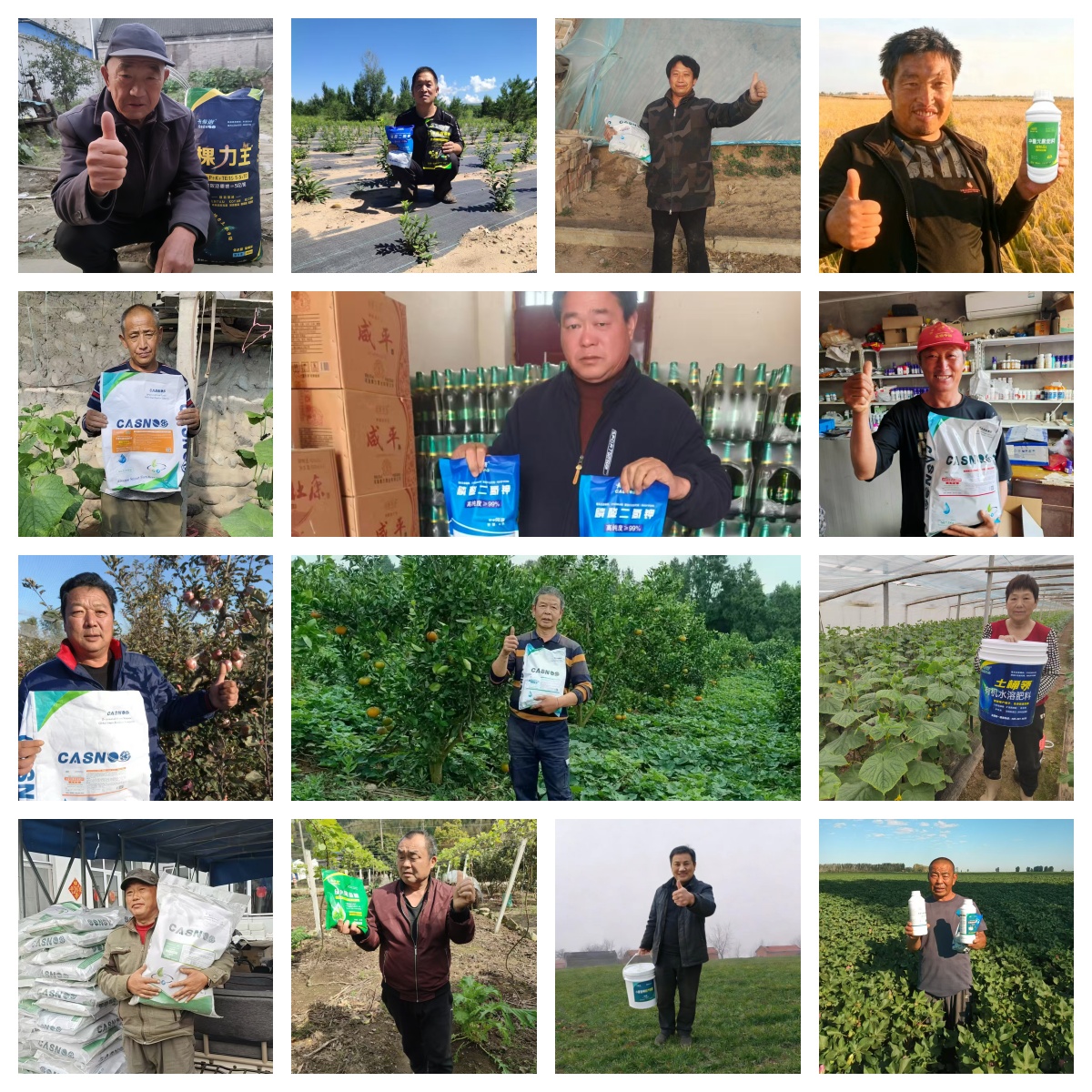 卡希诺肥料效果咋样