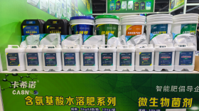 卡希诺肥料效果咋样