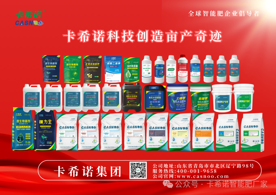 卡希诺水溶肥怎么样好用吗？